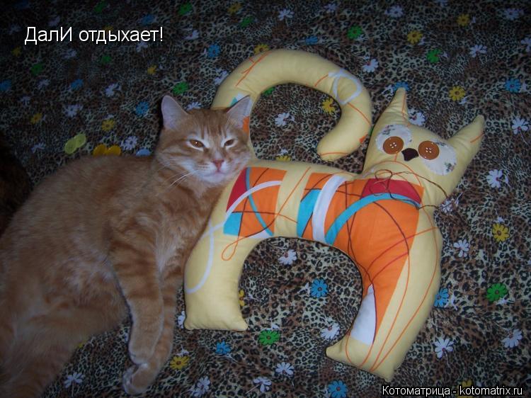 Котоматрица: ДалИ отдыхает!