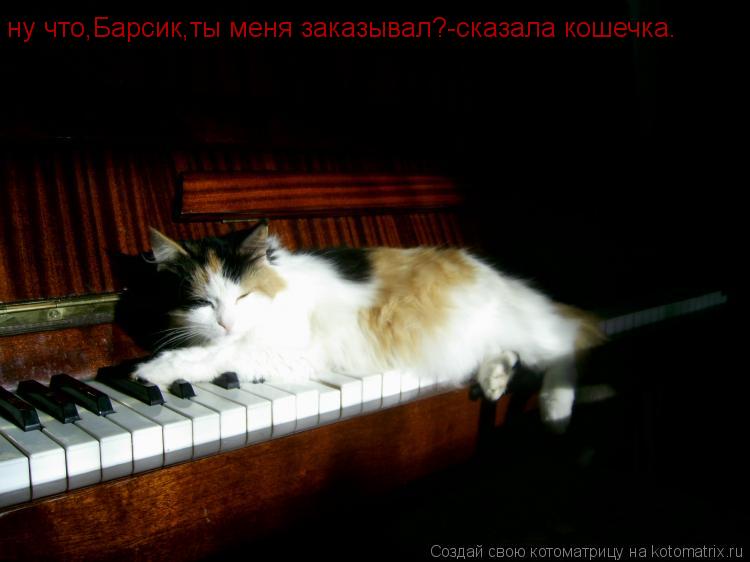 ну что,Барсик,ты меня заказывал?-сказала кошечка.... Котоматрица: ну что,Барсик,ты меня заказывал?-сказала кошечка.