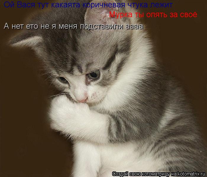 Котоматрица: Ой Вася тут какаята коричневая чтука лежит Мурка ты опять за своё А нет ето не я меня подставили аааа А нет ето не я меня подставили аааа
