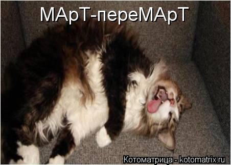 Котоматрица: МАрТ-переМАрТ