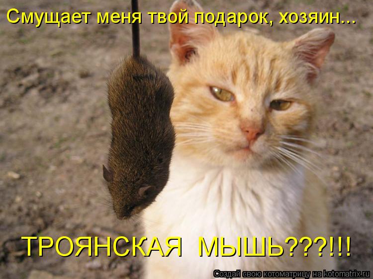 Котоматрица: Смущает меня твой подарок, хозяин... ТРОЯНСКАЯ  МЫШЬ???!!!