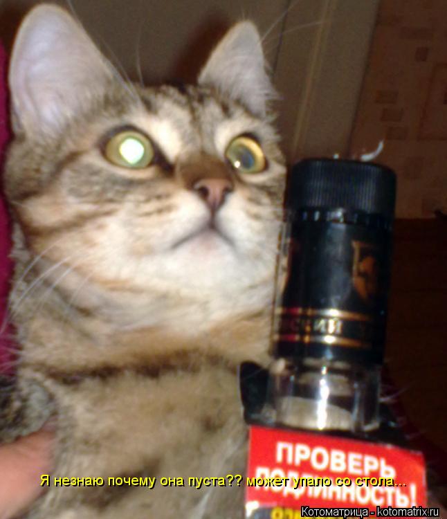 Я незнаю почему она пуста?? может упало со стола...... Котоматрица: Я незнаю почему она пуста?? может упало со стола...