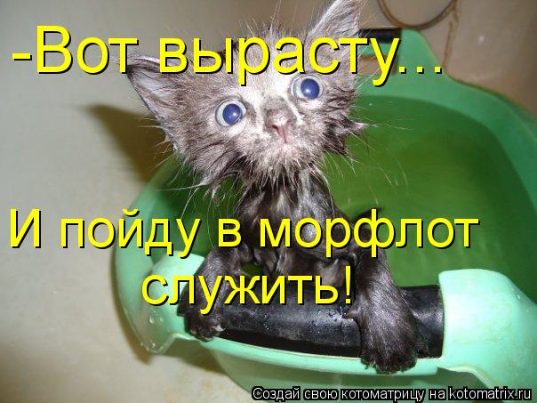 И пойду в морфлот служить! -Вот вырасту...... Котоматрица: И пойду в морфлот служить! -Вот вырасту...