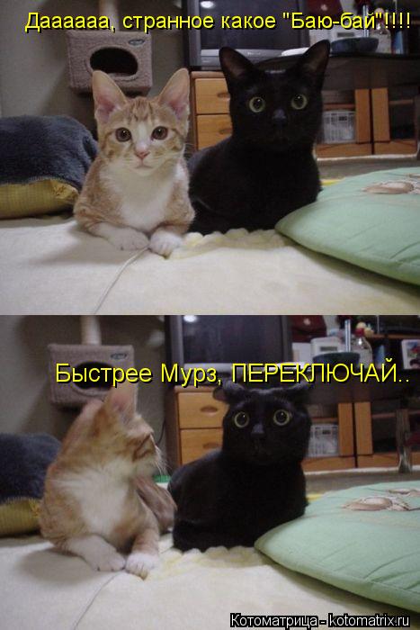 Котоматрица: Даааааа, странное какое "Баю-бай"!!!! Быстрее Мурз, ПЕРЕКЛЮЧАЙ..