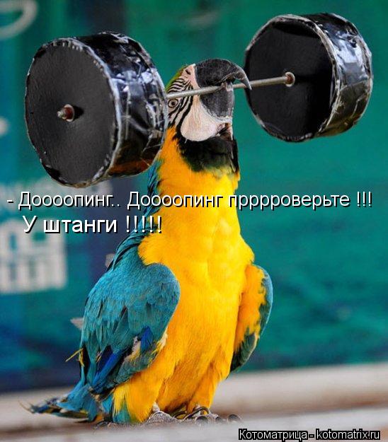 Котоматрица: - Доооопинг.. Доооопинг прррроверьте !!!  У штанги !!!!!