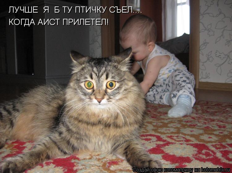 Котоматрица: ЛУЧШЕ  Я  Б ТУ ПТИЧКУ СЪЕЛ.... КОГДА АИСТ ПРИЛЕТЕЛ!