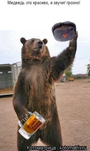 Котоматрица: Медведь это красиво, и звучит грозно! Медведь это красиво, и звучит грозно!