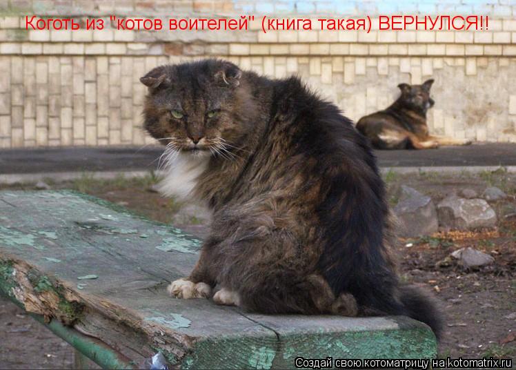 Коготь из "котов воителей" (книга такая) ВЕРНУЛСЯ!!... Котоматрица: Коготь из "котов воителей" (книга такая) ВЕРНУЛСЯ!!