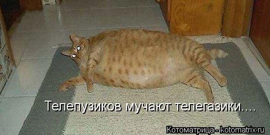 Котоматрица: Телепузиков мучают телегазики....