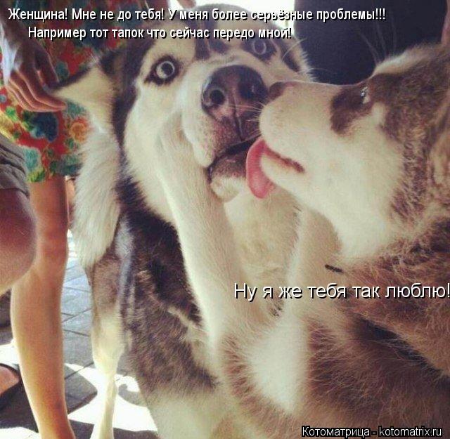 Ну я же тебя так люблю! Женщина! Мне не до тебя! У меня более серьёзные проблемы!!! Например тот тапо... Котоматрица: Ну я же тебя так люблю! Женщина! Мне не до тебя! У меня более серьёзные проблемы!!! Например тот тапок что сейчас передо мной!