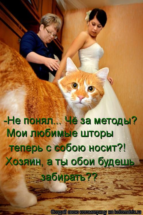 Котоматрица: -Не понял... Чё за методы? Мои любимые шторы  теперь с собою носит?! Хозяин, а ты обои будешь забирать??