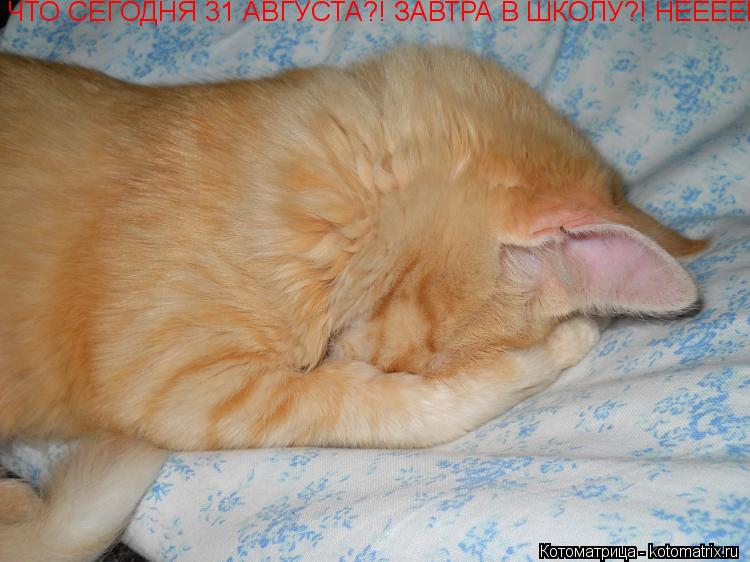 Как хорошо спать днем Как хорошо спать днем