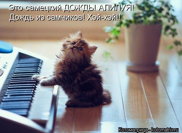 Это самецкий ДОЖДЬ! АЛИЛУЯ! Дождь из самчиков! Хэй-хэй!!... Котоматрица: Это самецкий ДОЖДЬ! АЛИЛУЯ! Дождь из самчиков! Хэй-хэй!!