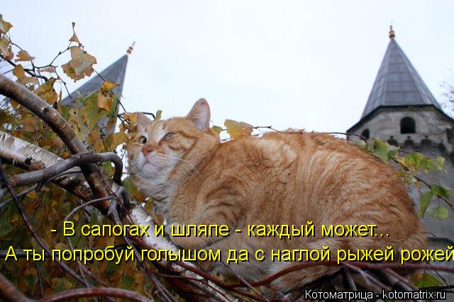 А ты попробуй голышом да с наглой рыжей рожей ! - В сапогах и шляпе - каждый может...... Котоматрица: А ты попробуй голышом да с наглой рыжей рожей ! - В сапогах и шляпе - каждый может...