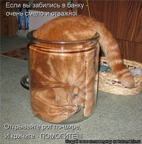 Котоматрица: Если вы забились в банку -  очень смело и отважно, И кричите - ПОМОГИТЕ!!! Открывайте рот по-шире,