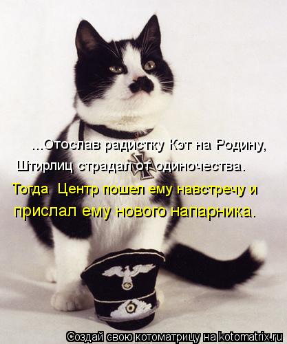 Котоматрица: ...Отослав радистку Кэт на Родину,  Штирлиц страдал от одиночества. Тогда  Центр пошел ему навстречу и  прислал ему нового напарника.