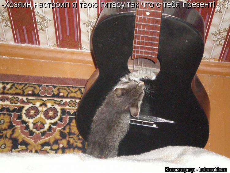 Котоматрица: -Хозяин,настроил я твою гитару,так что с тебя презент!