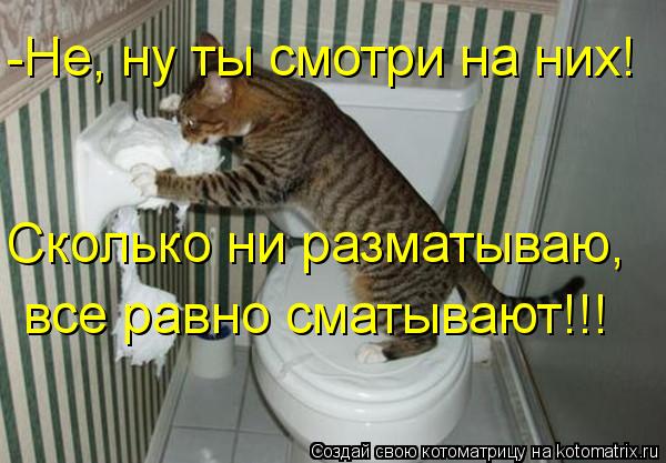 Котоматрица: Сколько ни разматываю, все равно сматывают!!! -Не, ну ты смотри на них!