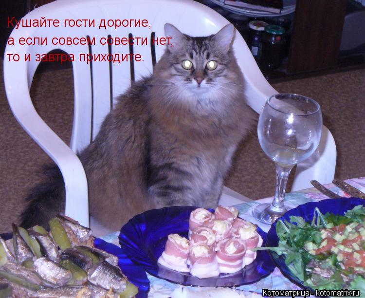 Кушайте гости дорогие, а если совсем совести нет, то и завтра приходите.... Котоматрица: Кушайте гости дорогие, а если совсем совести нет, то и завтра приходите.