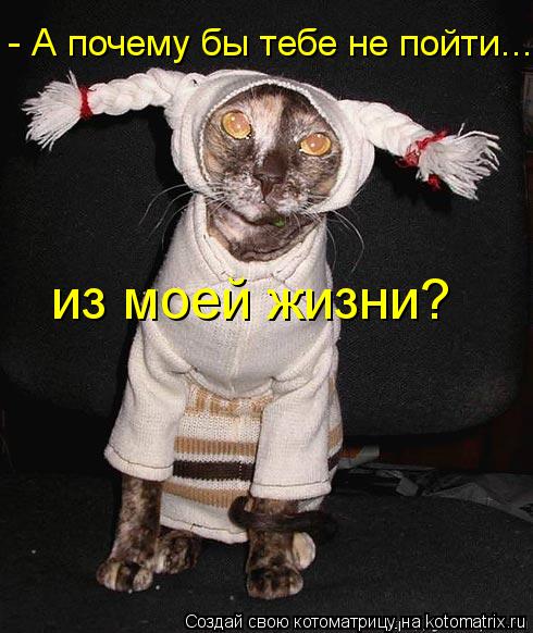 - А почему бы тебе не пойти... из моей жизни?... Котоматрица: - А почему бы тебе не пойти... из моей жизни?