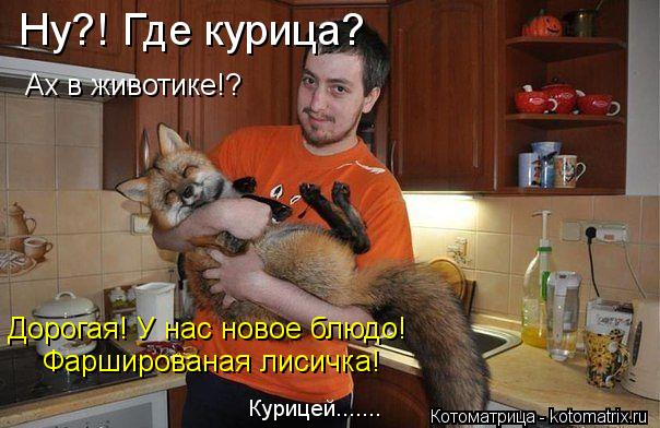Котоматрица: Ну?! Где курица? Ах в животике!? Дорогая! У нас новое блюдо! Фаршированая лисичка! Курицей.......