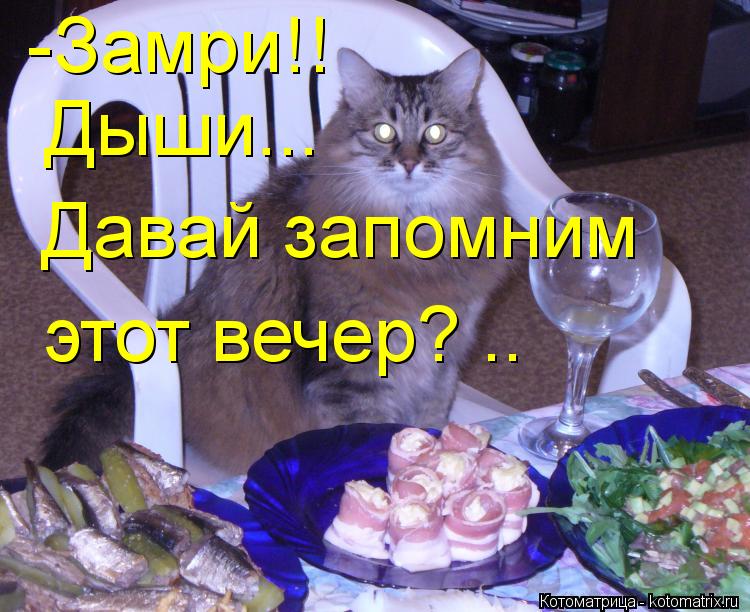 Котоматрица: -Замри!! Дыши... Давай запомним  этот вечер? ..