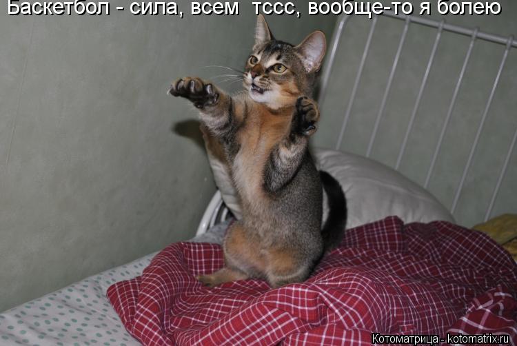 Котоматрица: Баскетбол - сила, всем  тссс, вообще-то я болею
