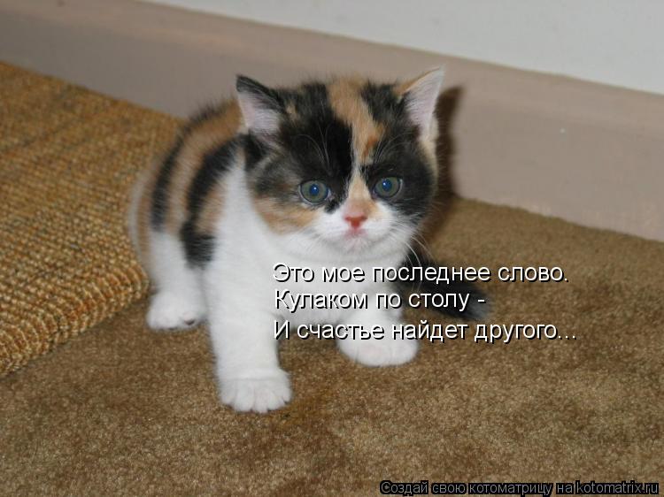 Котоматрица: Это мое последнее слово. Кулаком по столу - И счастье найдет другого...