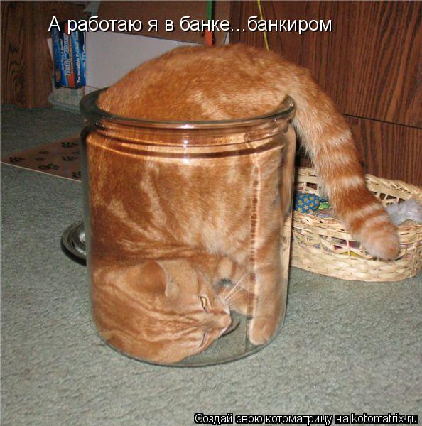 Котоматрица: А работаю я в банке...банкиром