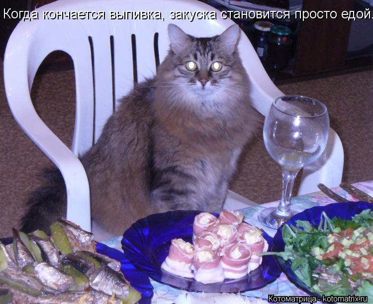 Котоматрица: Когда кончается выпивка, закуска становится просто едой.