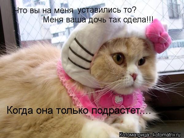 Что вы на меня уставились то? Меня ваша дочь так одела!!! Когда она только подрастет....... Котоматрица: Что вы на меня уставились то? Меня ваша дочь так одела!!! Когда она только подрастет....