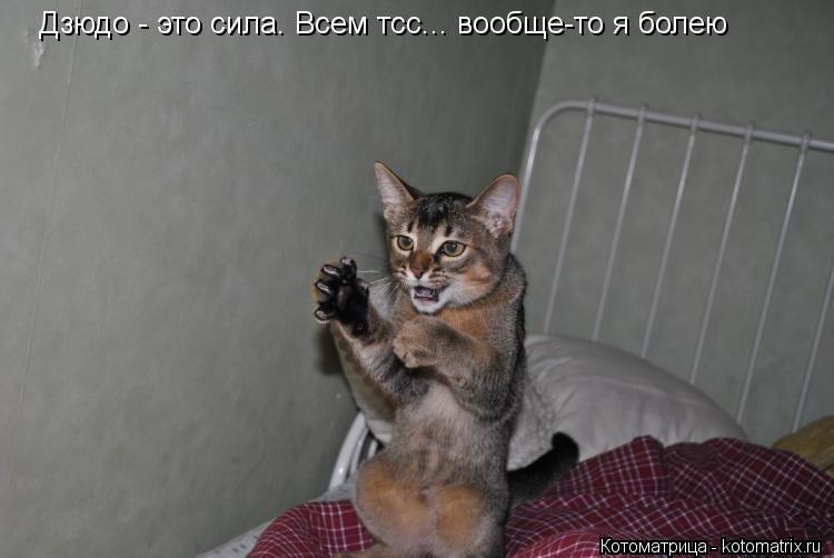 Котоматрица: Дзюдо - это сила. Всем тсс... вообще-то я болею