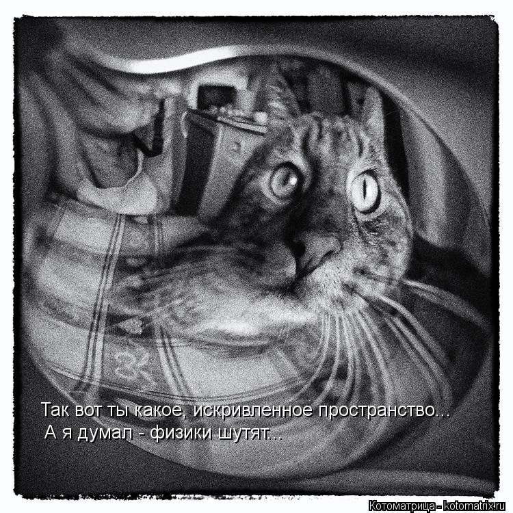 Котоматрица: Так вот ты какое, искривленное пространство... А я думал - физики шутят...