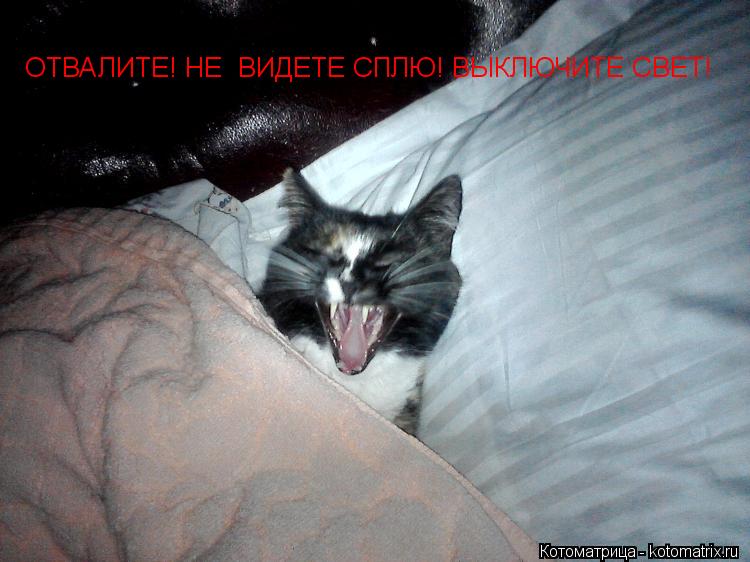 Котоматрица: ОТВАЛИТЕ! НЕ  ВИДЕТЕ СПЛЮ! ВЫКЛЮЧИТЕ СВЕТ!
