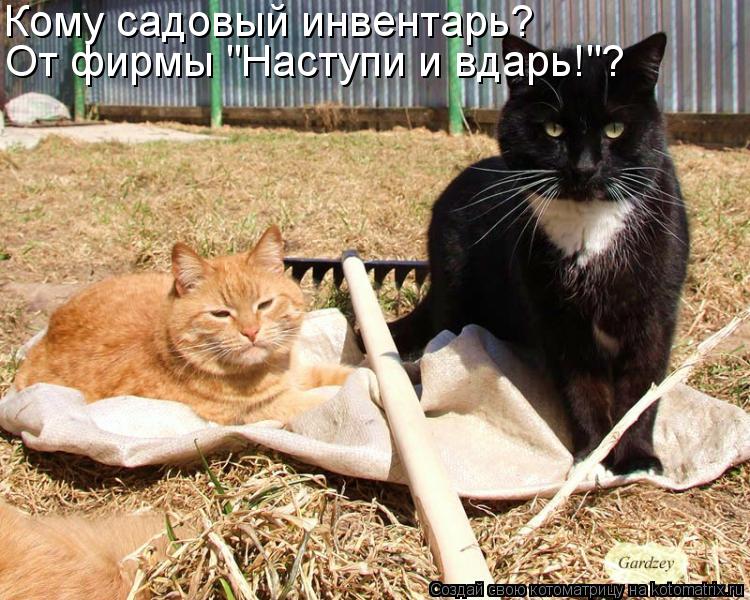Котоматрица: Кому садовый инвентарь? От фирмы "Наступи и вдарь!"?