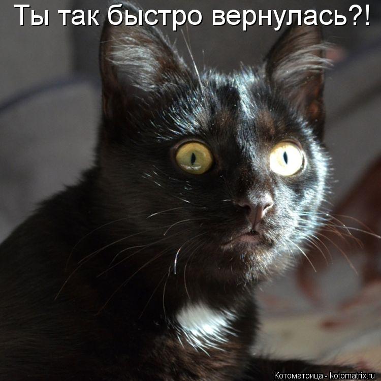 Котоматрица: Ты так быстро вернулась?!