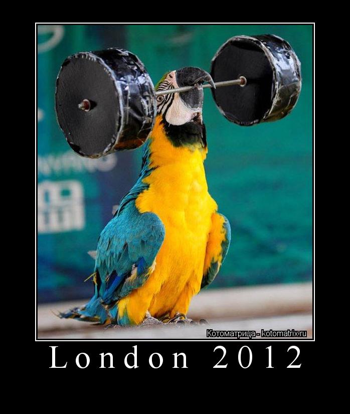 Котоматрица: London 2012 