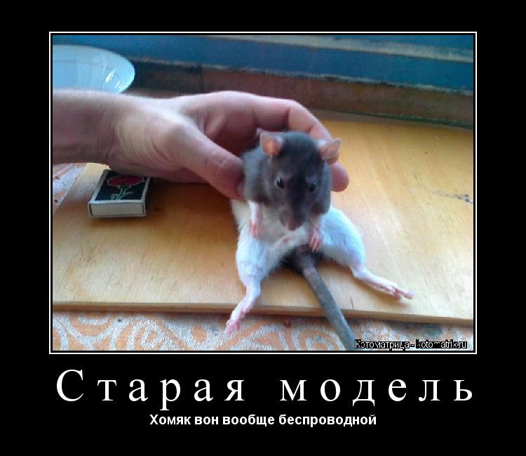 Старая модель Хомяк вон вообще беспроводной... Котоматрица: Старая модель Хомяк вон вообще беспроводной