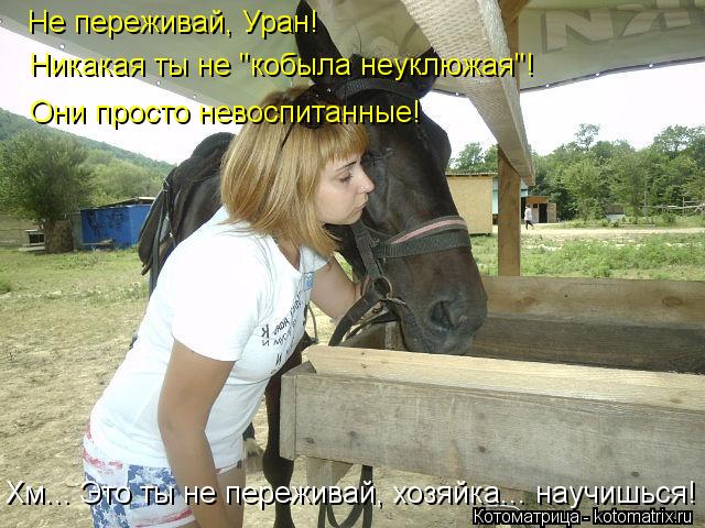 Котоматрица: Не переживай, Уран! Никакая ты не "кобыла неуклюжая"! Они просто невоспитанные! Хм... Это ты не переживай, хозяйка... научишься!