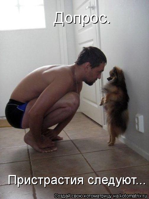 Допрос. Пристрастия следуют...... Котоматрица: Допрос. Пристрастия следуют...