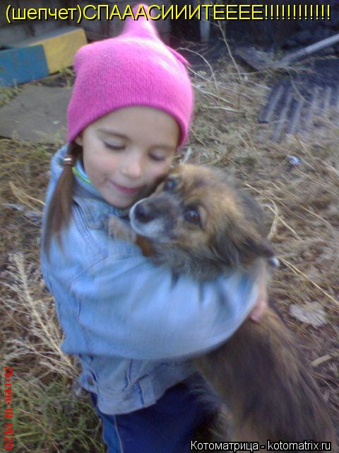 Котоматрица: (шепчет)СПАААСИИИТЕЕЕЕ!!!!!!!!!!!!