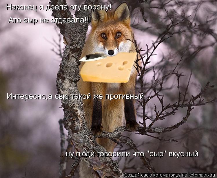 Котоматрица: Наконец я доела эту ворону! Ато сыр не отдавала!!! Интересно,а сыр такой же противный... ...ну,люди говорили что "сыр" вкусный