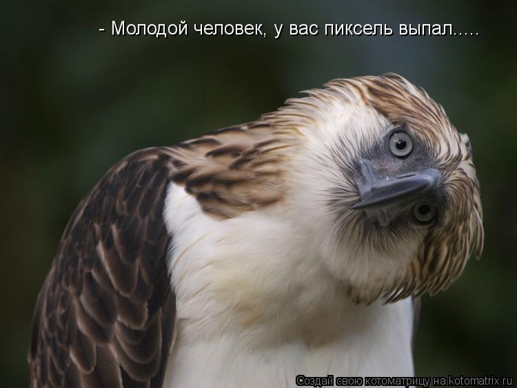 - Молодой человек, у вас пиксель выпал........ Котоматрица: - Молодой человек, у вас пиксель выпал.....