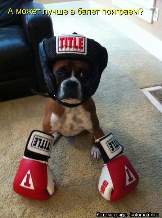 Котоматрица: А может лучше в балет поиграем?