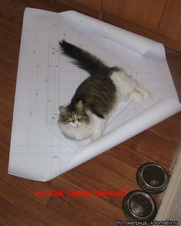 Котоматрица: ну как семетрично?