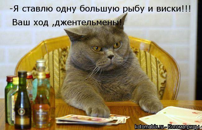 Котоматрица: -Я ставлю одну большую рыбу и виски!!! Ваш ход ,джентельмены!