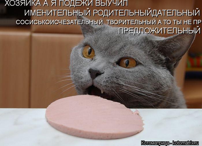 ХОЗЯЙКА А Я ПОДЕЖИ ВЫУЧИЛ ИМЕНИТЕЛЬНЫЙ РОДИТЕЛЬНЫЙДАТЕЛЬНЫЙ СОСИСЬКОИСЧЕЗАТЕЛЬНЫЙ СОСИСЬКОИСЧЕЗАТЕЛЬ... Котоматрица: ХОЗЯЙКА А Я ПОДЕЖИ ВЫУЧИЛ ИМЕНИТЕЛЬНЫЙ РОДИТЕЛЬНЫЙДАТЕЛЬНЫЙ СОСИСЬКОИСЧЕЗАТЕЛЬНЫЙ СОСИСЬКОИСЧЕЗАТЕЛЬНЫЙ ТВОРИТЕЛЬНЫЙ А ТО ТЫ НЕ ПРЕДЛ