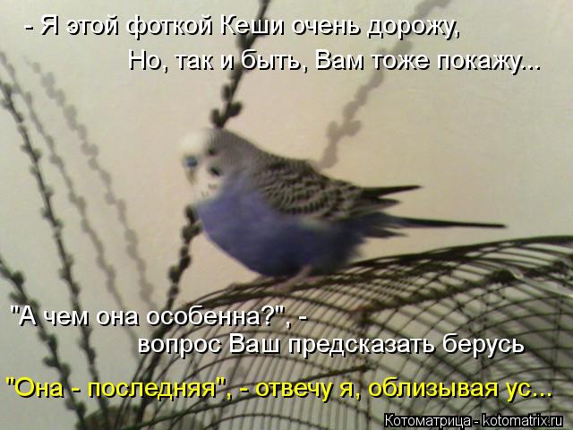 Котоматрица: - Я этой фоткой Кеши очень дорожу, Но, так и быть, Вам тоже покажу... "А чем она особенна?", -  вопрос Ваш предсказать берусь "Она - последняя", - отв