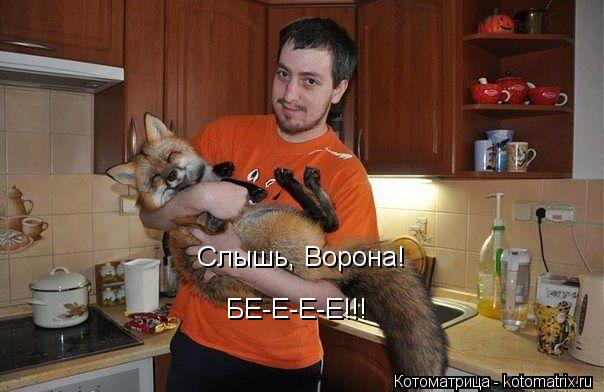 Котоматрица: Слышь, Ворона! БЕ-Е-Е-Е!!!