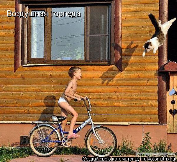 Котоматрица: Воздушная торпеда